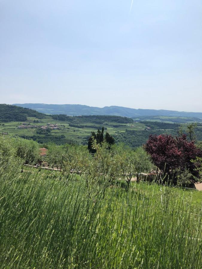 B&B Le Corone - Chalet Nel Bosco Cavalo ภายนอก รูปภาพ