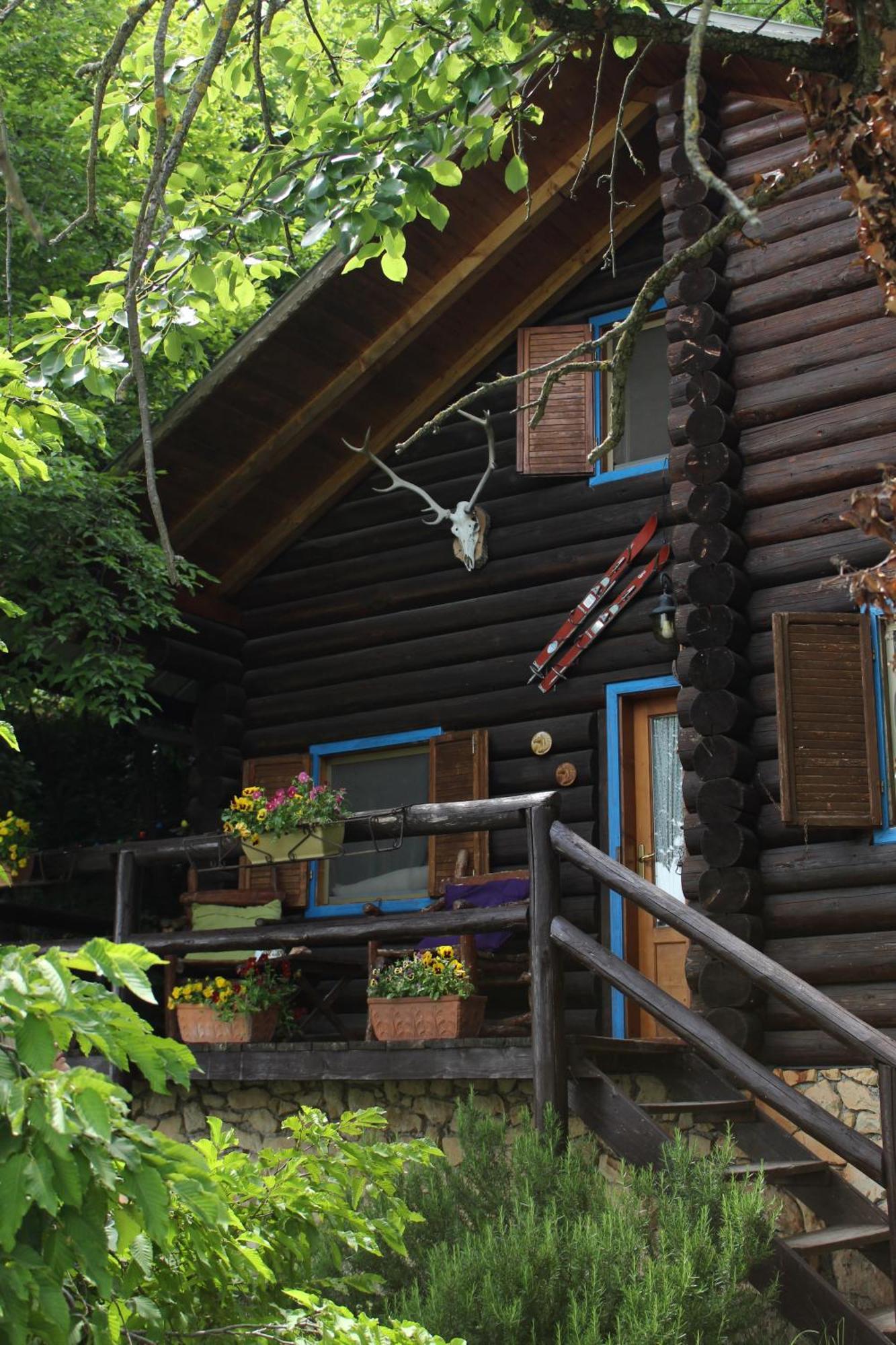 B&B Le Corone - Chalet Nel Bosco Cavalo ภายนอก รูปภาพ
