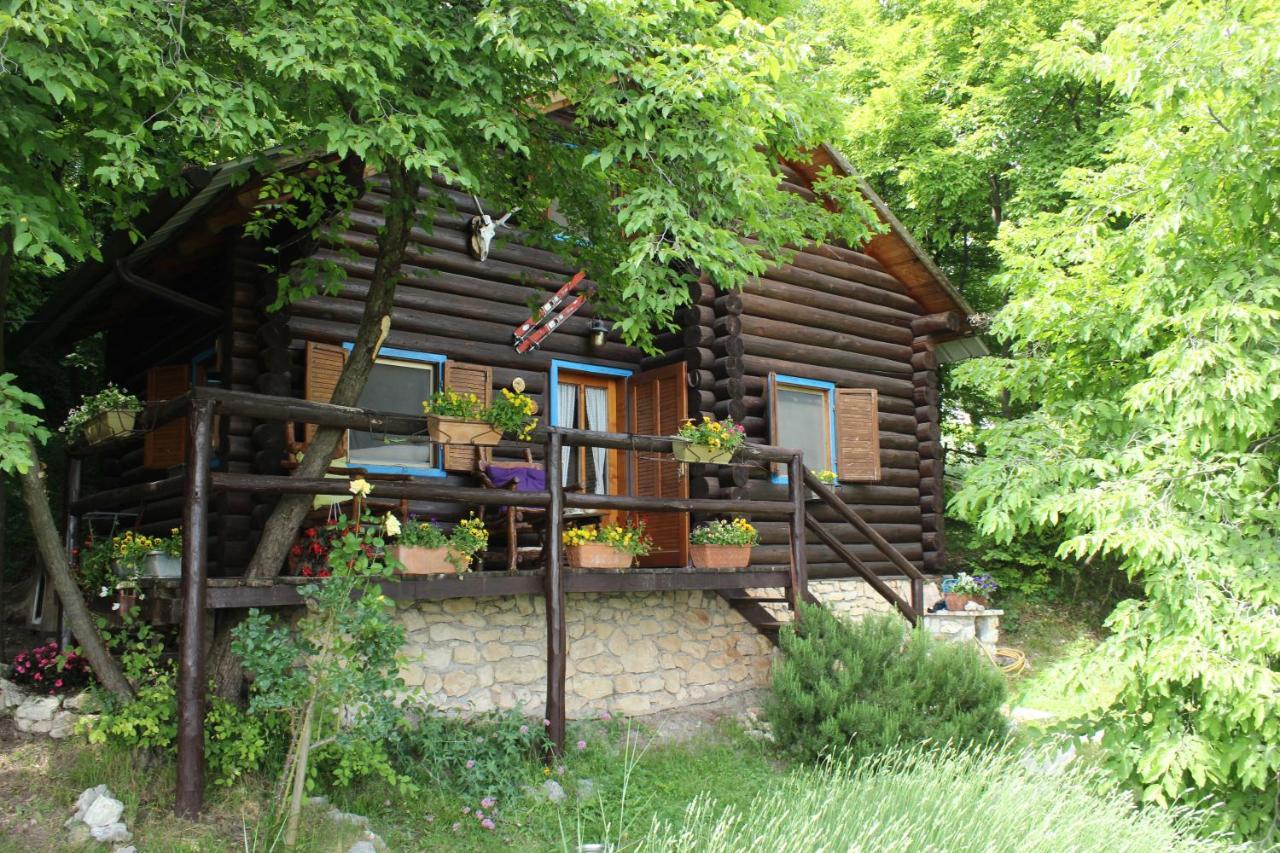B&B Le Corone - Chalet Nel Bosco Cavalo ภายนอก รูปภาพ