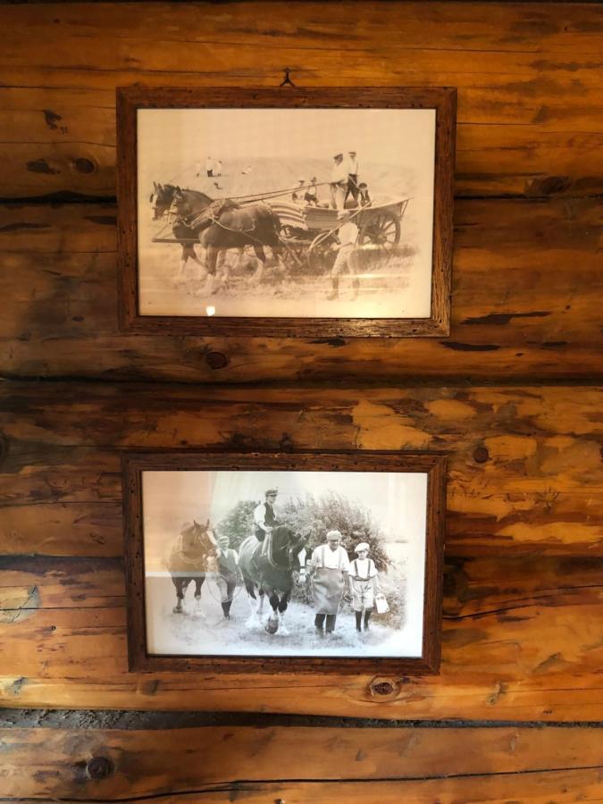 B&B Le Corone - Chalet Nel Bosco Cavalo ภายนอก รูปภาพ