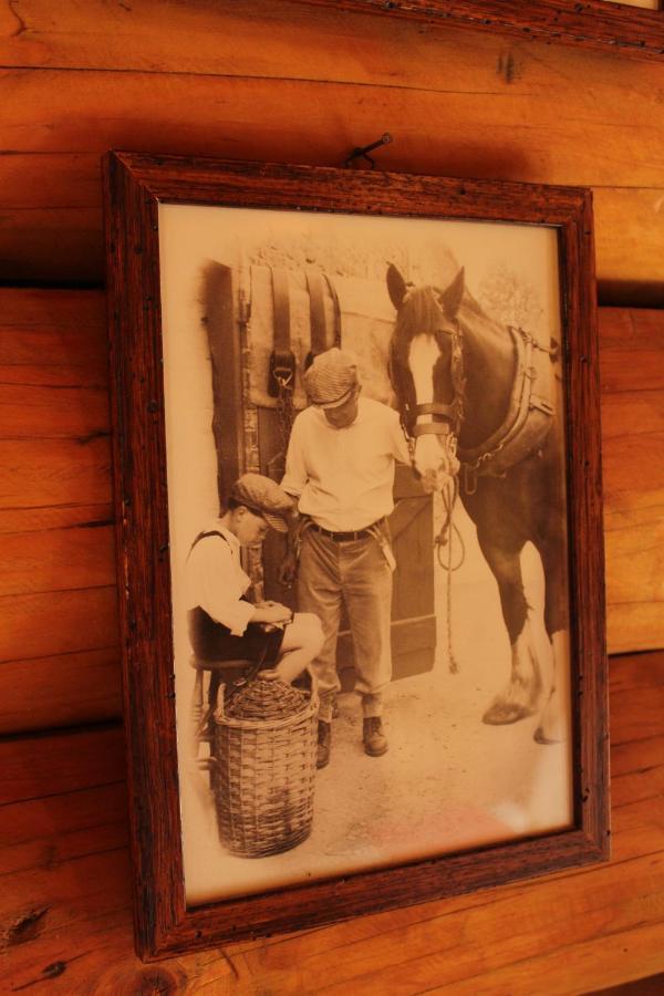 B&B Le Corone - Chalet Nel Bosco Cavalo ภายนอก รูปภาพ