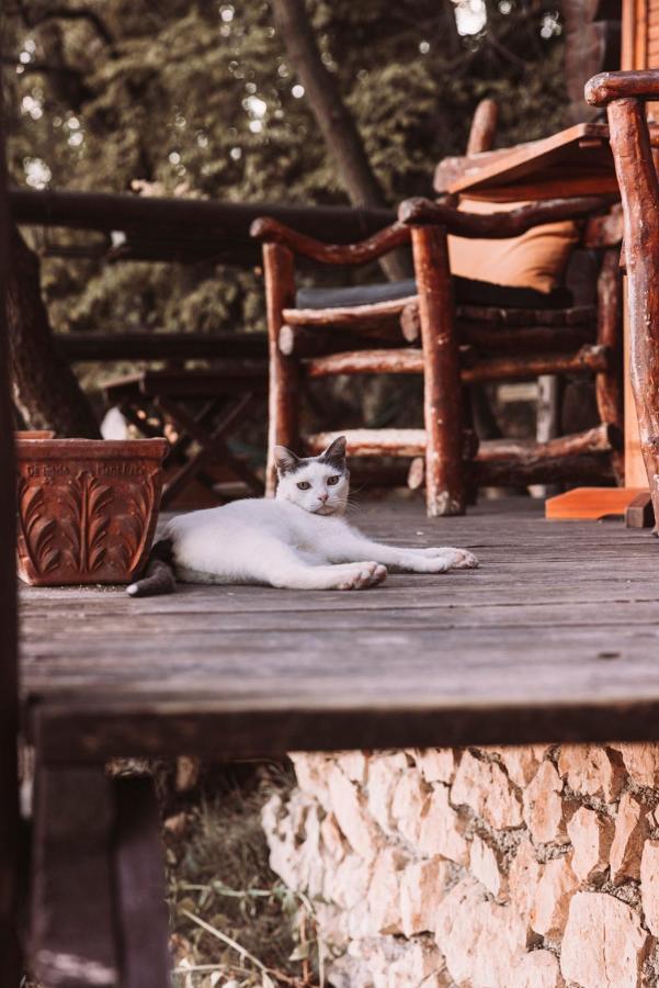 B&B Le Corone - Chalet Nel Bosco Cavalo ภายนอก รูปภาพ