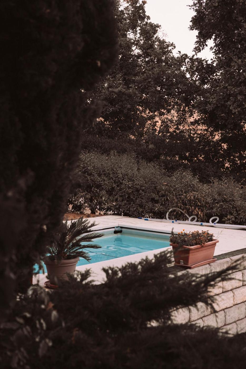 B&B Le Corone - Chalet Nel Bosco Cavalo ภายนอก รูปภาพ